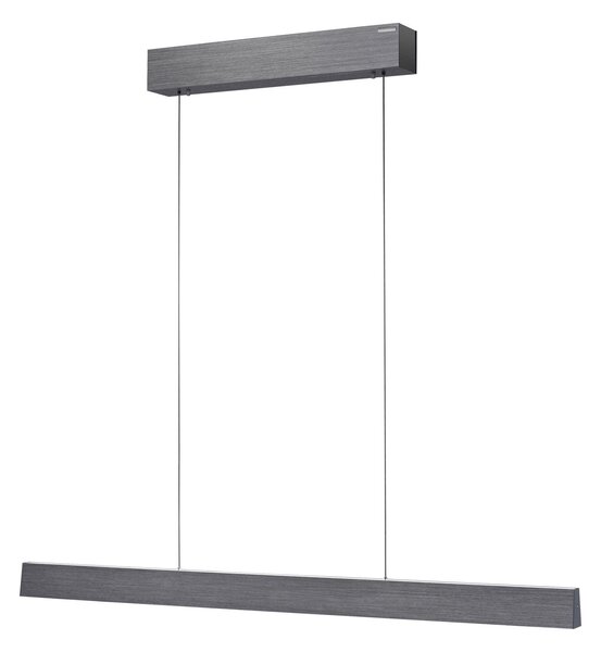 Lustră Pendul PURE, PURE E-Motion, reglabil, Gri, Camera de zi, Metal, Modern