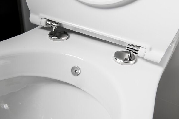 Sapho Sapho, WC combinat KAIRO CLEANWASH cu duș bideu, deșeuri spate, mecanism de spălare, PC106