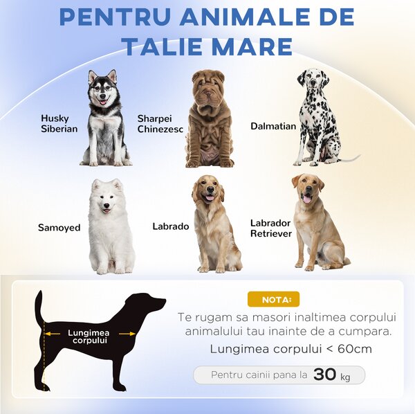 PawHut Canapea pentru Câini cu Picioare Înălțate și Pernă Detașabilă, 98x67x25 cm, Gri | Aosom Romania