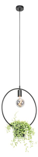 Suspensie moderna neagra cu sticla rotunda - Roslini