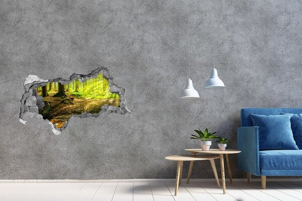 Fototapet 3D gaură în perete Pădure verde cu un pârâu