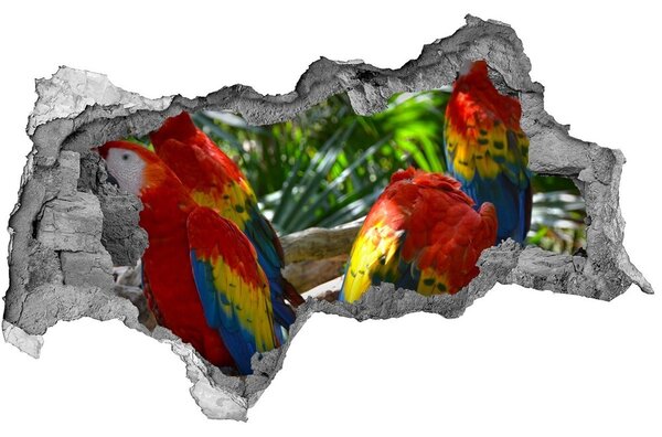 Autocolant un zid spart cu priveliște papagali Macaws