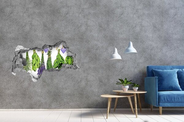 Autocolant gaură 3D Grădina de plante aromatice „Gauă în perete”