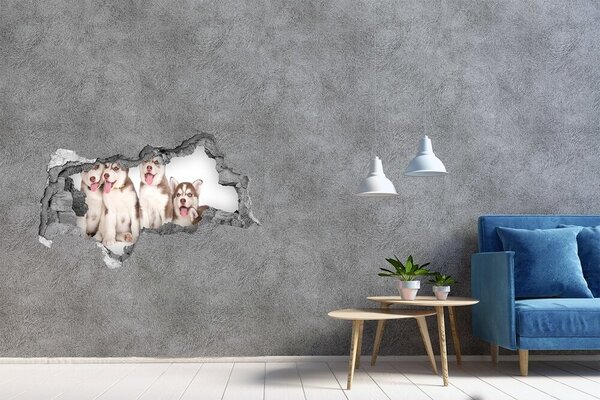 Autocolant autoadeziv gaură Căței husky în spatele unei găuri în perete
