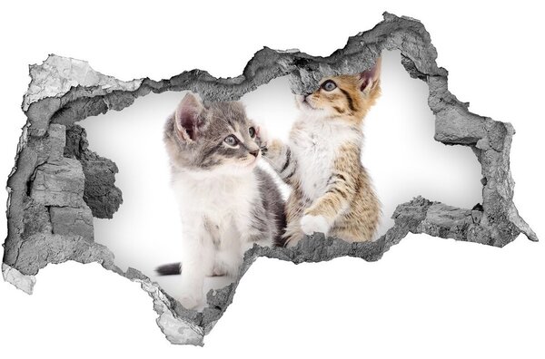 Autocolant autoadeziv gaură Două pisici de talie mică