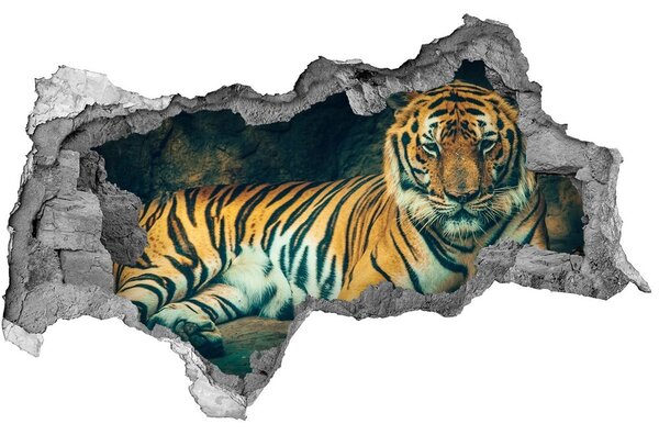 Fototapet 3D gaură în perete Tiger Cave