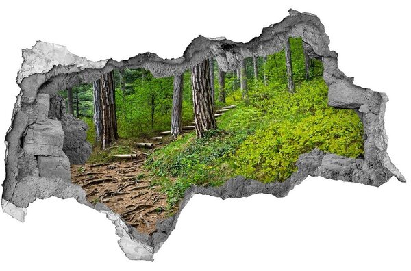 Autocolant 3D gaura cu priveliște drum forestier