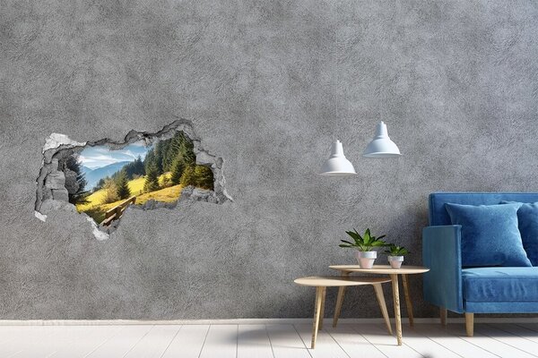 Autocolant gaură 3D Vedere a văii montane