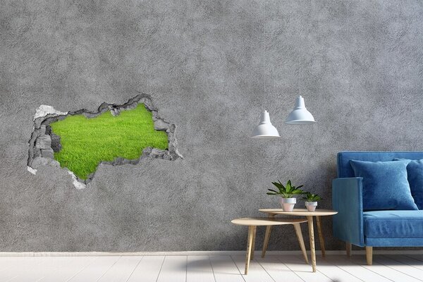 Fototapet un zid spart cu priveliște Pajiște verde printr-o gaură în perete