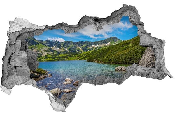 Autocolant 3D gaura cu priveliște Un lac de munte înconjurat de verdeață