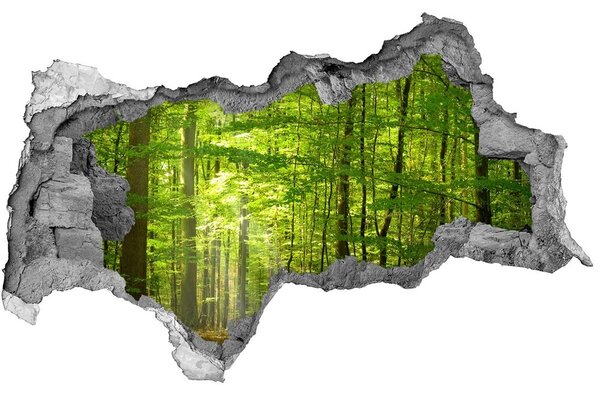 Autocolant gaură 3D pădure de foioase