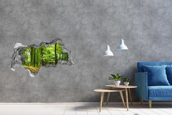 Autocolant gaură 3D Pădurea verde în razele soarelui