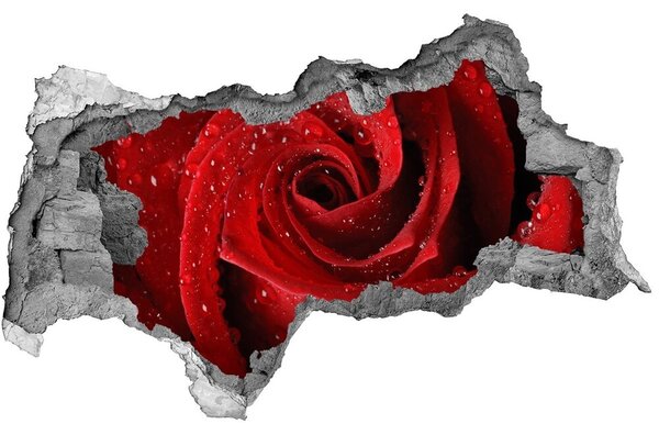 Autocolant autoadeziv gaură Picaturi pe un trandafir