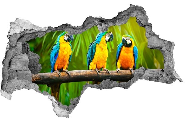 Autocolant de perete gaură 3D Papagali tropicali în junglă