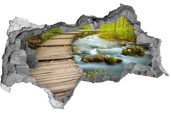 Fototapet 3D gaură în perete Calea pe râul