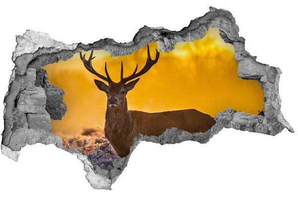 Autocolant de perete gaură 3D Sunrise Deer