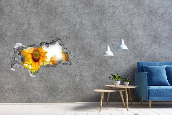 Fototapet 3D gaură în perete Un vis floral în spatele peretelui