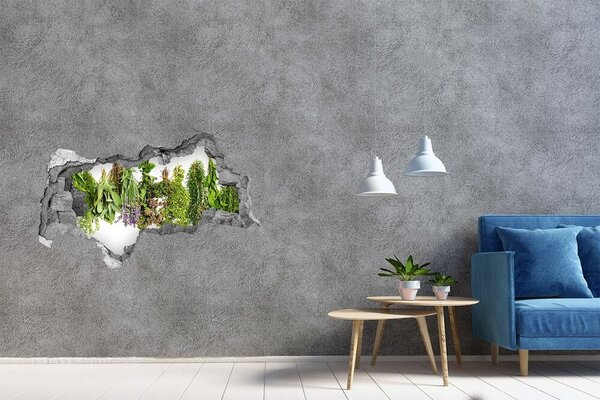 Fototapet un zid spart cu priveliște Grădină de plante aromatice verzi