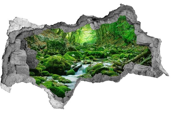 Autocolant 3D gaura cu priveliște Stream în pădure