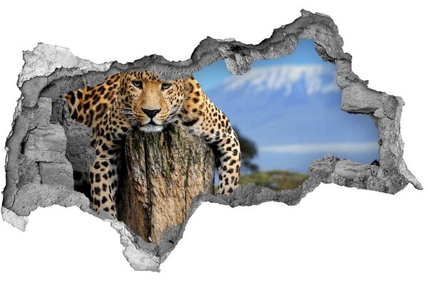 Fototapet 3D gaură în perete Leopard pe un ciot de copac