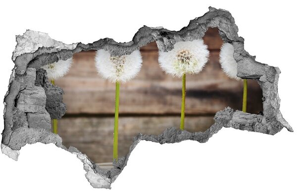 Autocolant gaură 3D Flori de păpădie în ruine