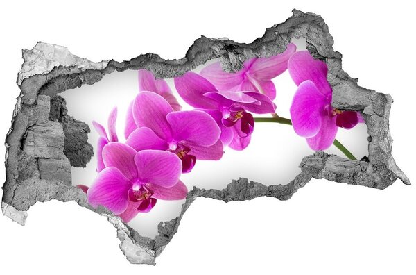 Autocolant un zid spart cu priveliște orhidee roz