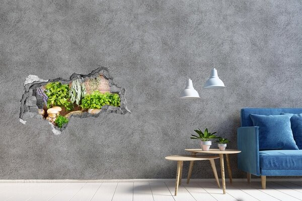 Fototapet 3D gaură în perete Bucătărie verde cu ierburi aromatice