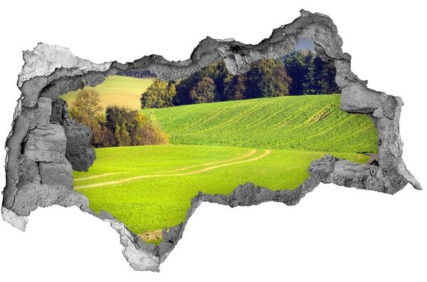 Autocolant autoadeziv gaură Pajiște verde în spatele zidului