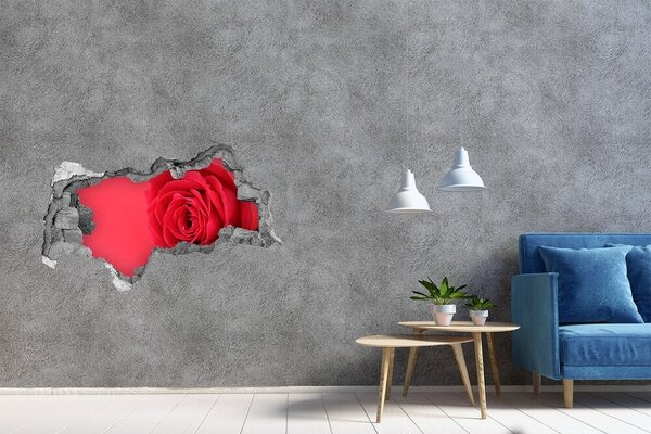 Autocolant autoadeziv gaură Iluzie florală în beton