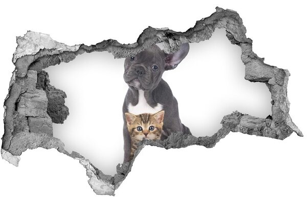 Autocolant 3D gaura cu priveliște Câine și pisică