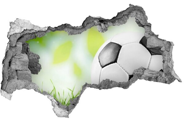 Fototapet 3D gaură în perete Fotbal