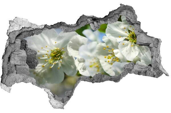 Fototapet un zid spart cu priveliște floare de cires