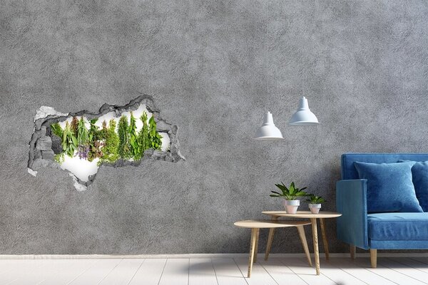 Fototapet 3D gaură în perete Oază verde cu ierburi aromatice