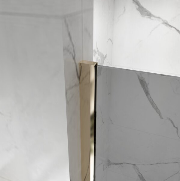 Erga Paris, Paravan de duș walk-in 110x200 cm, sticlă gri 8mm, profil auriu strălucitor, ERG-V02-PARIS-110x200-GR-GD