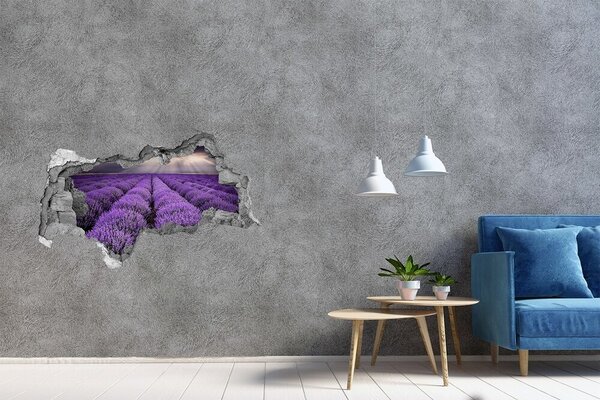 Autocolant de perete gaură 3D Câmpuri de lavandă în lumina soarelui care apusă
