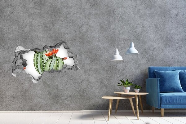 Fototapet 3D gaură în perete Un cactus cu o floare într-o gaură în perete