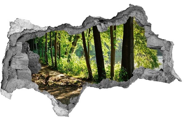 Autocolant gaură 3D Pădurea verde de lângă râu