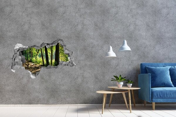 Autocolant gaură 3D Pădurea verde de lângă râu