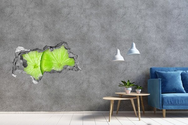 Autocolant gaură 3D Var suculent în beton