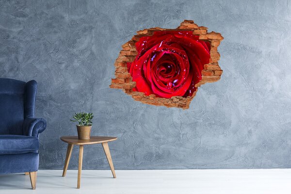 Autocolant gaură 3D Iluzie florală în beton