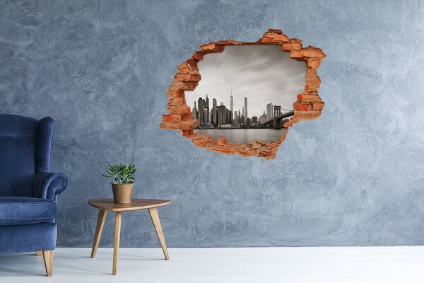 Fototapet 3D gaură în perete Vedere a orașului New York