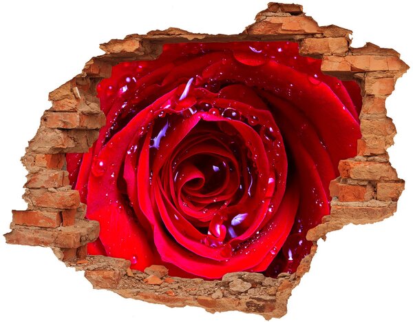 Autocolant gaură 3D Trandafir