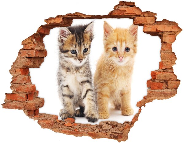 Autocolant un zid spart cu priveliște Pisica Brown si ghimbir