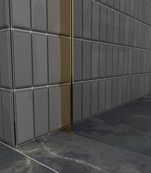 Erga Paris, Paravan de duș Walk-In 80x200 cm, sticlă transparentă/mată 8mm, profil auriu lucios, ERG-V02-PARIS-080x200-MF-GD