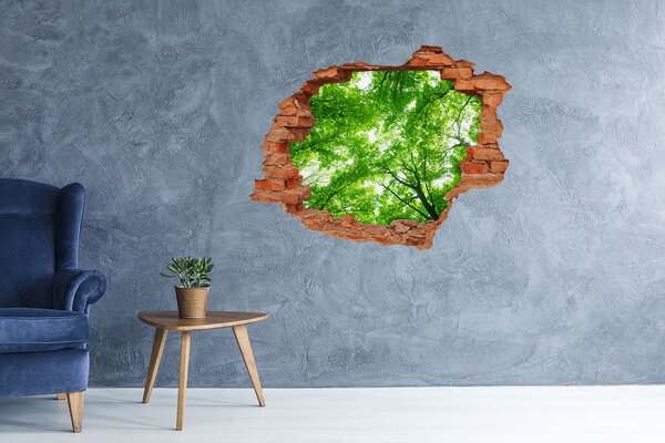 Fototapet 3D gaură în perete Pădurea verde într-o gaură în perete