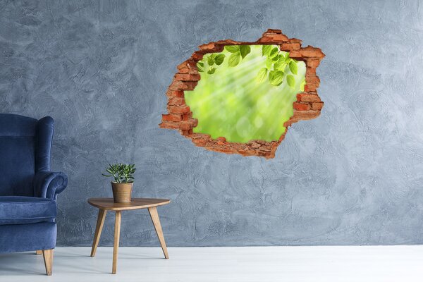 Autocolant gaură 3D Paradis verde în spatele zidului