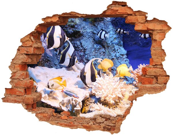 Autocolant un zid spart cu priveliște recif de corali