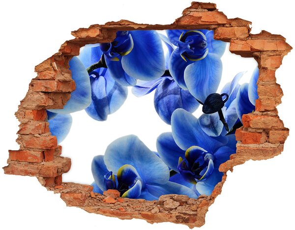 Autocolant gaură 3D Un paradis al florilor în spatele zidului