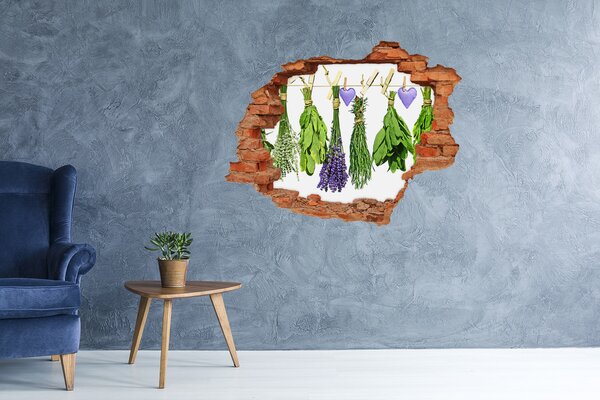 Autocolant autoadeziv gaură Grădina de plante aromatice „Gauă în perete”