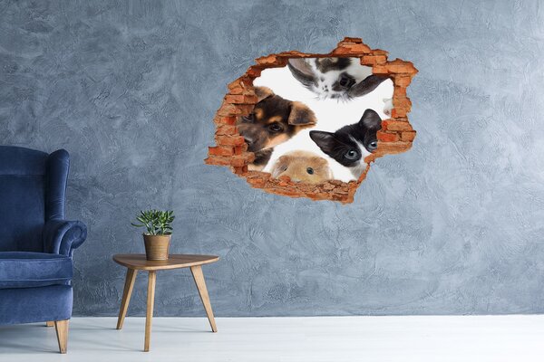 Fototapet 3D gaură în perete Voyeuri cu animale